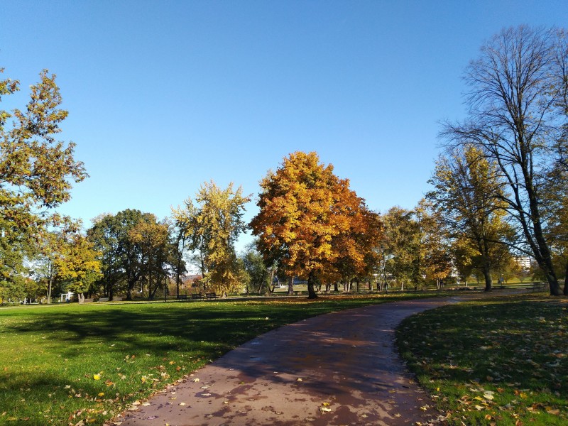 Autumn at Letná Park