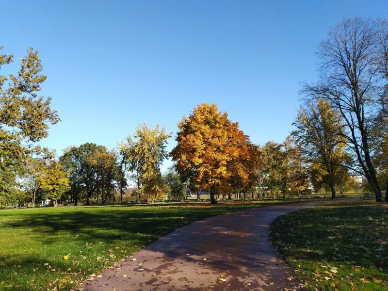 Autumn at Letná Park