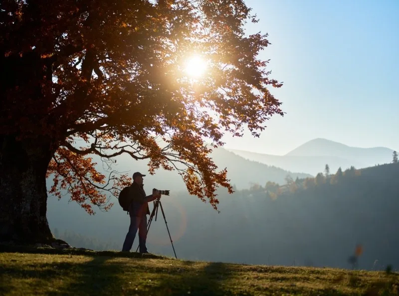 A photographer capturing a beautiful landscape during autumn near a large, colorful tree as the sun sets in the background.