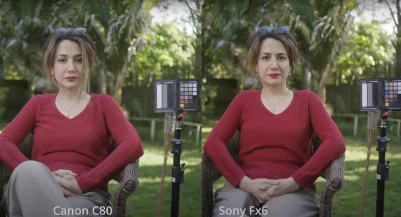 A split-screen comparison of a woman sitting in a garden, captured using Canon C80 and Sony Fx6 cameras showcasing color grading differences.